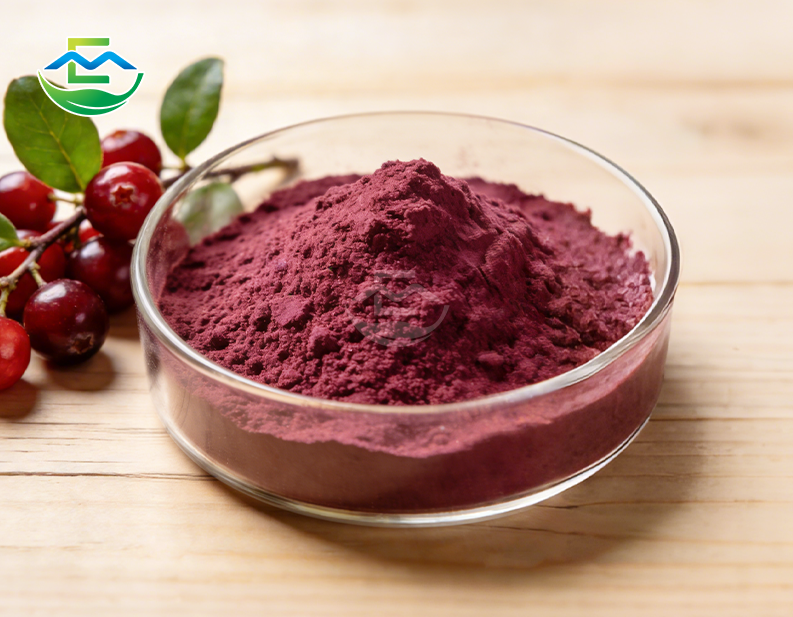 Cranberry Liquid Herbal Extract